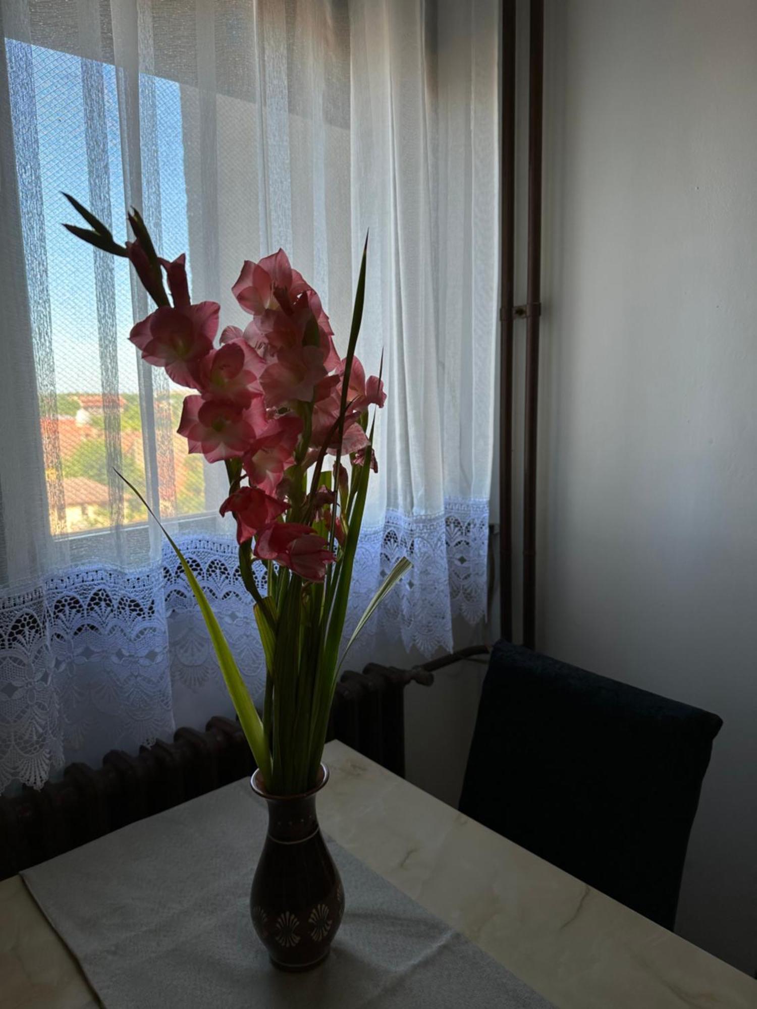 Tamaris Apartment Суботиця Екстер'єр фото
